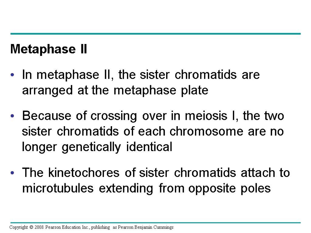Metaphase II In metaphase II, the sister chromatids are arranged at the metaphase plate